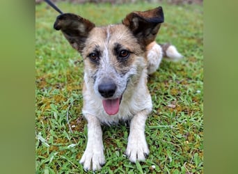 Tina - ein traumhaft lieber Wesen