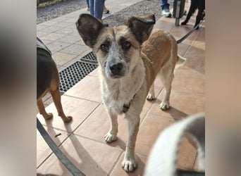 Tina - ein traumhaft lieber Wesen