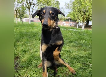 Eletta ein sanfter Engel