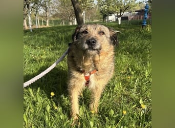 Mars der allerliebste