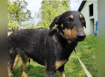 Eletta ein sanfter Engel