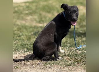 Jenny möchte nicht im Tierheim aufwachsen