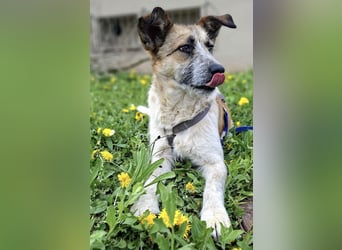 Tina - ein traumhaft lieber Wesen