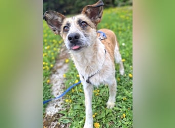 Tina - ein traumhaft lieber Wesen