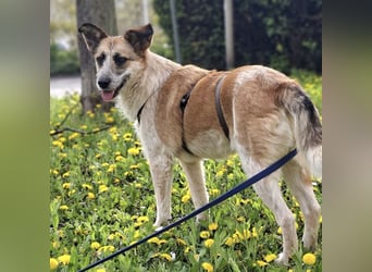 Tina - ein traumhaft lieber Wesen