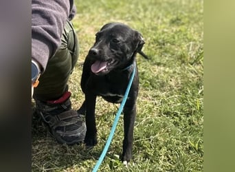 Senna mag nicht im Tierheim alt werden