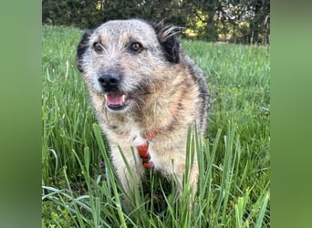 Mars der allerliebste