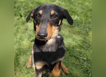 Eletta ein sanfter Engel