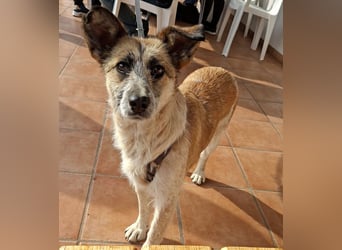 Tina - ein traumhaft lieber Wesen