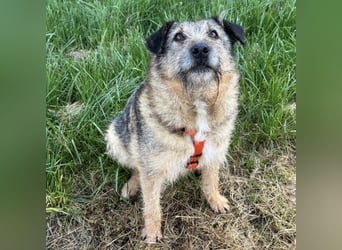 Mars der allerliebste