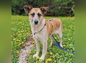 Tina - ein traumhaft lieber Wesen