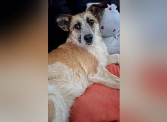 Tina - ein traumhaft lieber Wesen