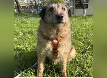 Mars der allerliebste