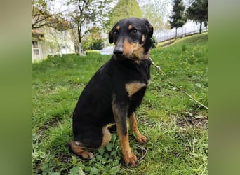 Eletta ein sanfter Engel