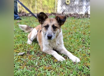 Tina - ein traumhaft lieber Wesen