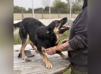 Letty ein freundliches Mädchen