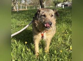 Mars der allerliebste