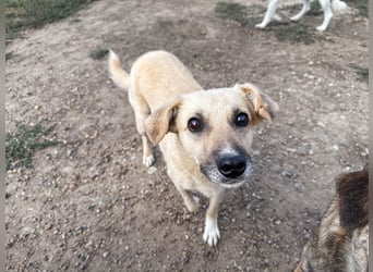 Marli mit den dunklen Knopfaugen