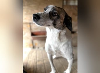 Trudy möchte gern ihr Herz verschenken