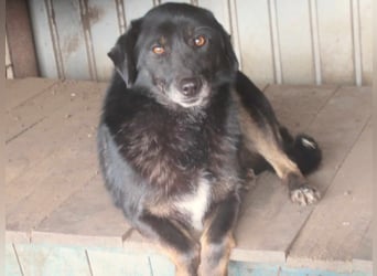 Nanook - ist ein lieber Schatz