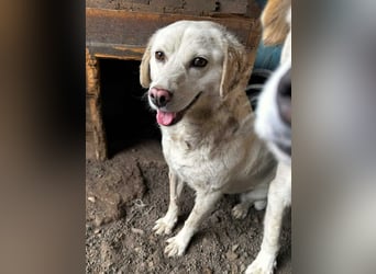 Odette ist sehr schmusebedürftig