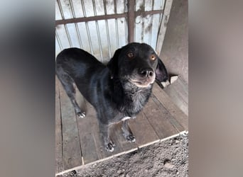 Nanook - ist ein lieber Schatz