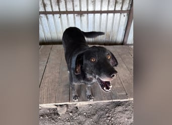 Nanook - ist ein lieber Schatz