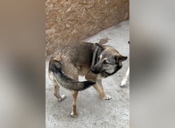 Nalani ist eine Gute - Laune - Fee