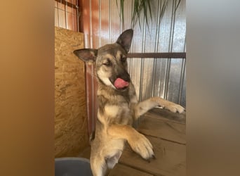 Nalani ist eine Gute - Laune - Fee