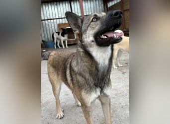 Nalani ist eine Gute - Laune - Fee