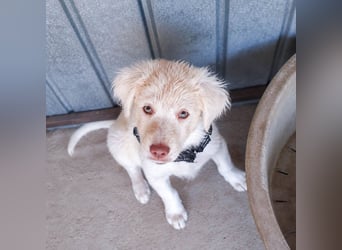 22 M ist ein kleiner Herzensbrecher