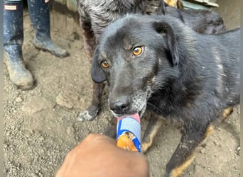 Nanook - ist ein lieber Schatz