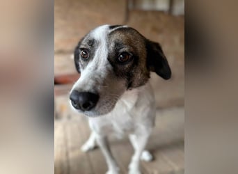 Trudy möchte gern ihr Herz verschenken