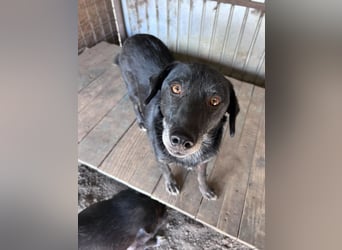Nanook - ist ein lieber Schatz