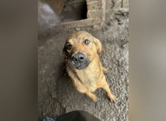 Haja ist eine Kuscheltante