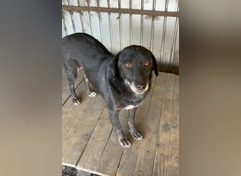 Nanook - ist ein lieber Schatz