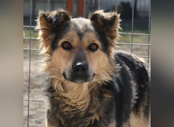 Kibo ist ein lebensfroher Bub