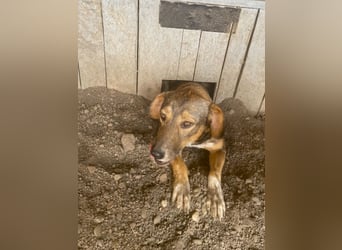Ronya ist eine zauberhafte Schönheit