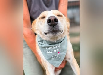 Kinderliebe Elfie ist ein wahrer Goldschatz
