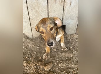 Ronya ist eine zauberhafte Schönheit