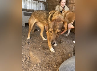 Ronya ist eine zauberhafte Schönheit