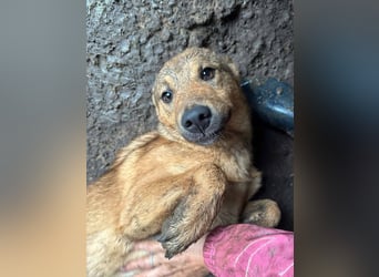 Haja ist eine Kuscheltante