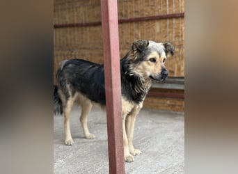 Kibo ist ein lebensfroher Bub