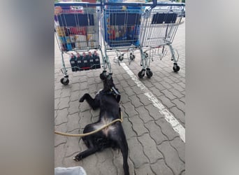 Zauberhafte Elli!