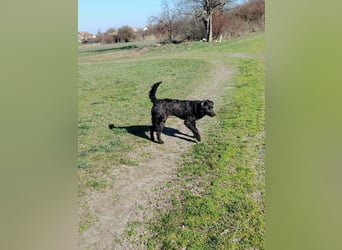 Zauberhafte Elli!