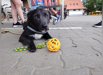 Zauberhafte Elli!