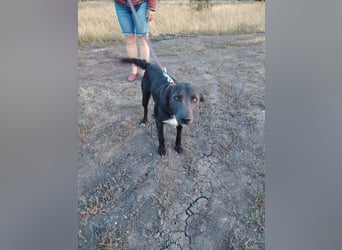 Zauberhafte Elli!