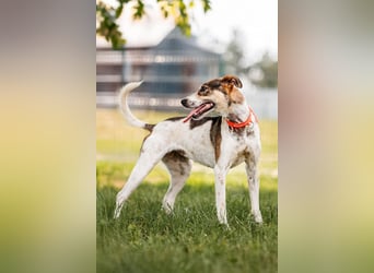 Lebensfrohe Stesha sucht ihre Familie