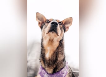 Besondere Miranda sucht passendes Zuhause