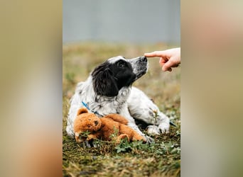 Verschmuster Janko sucht seine Familie